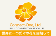 connect-one